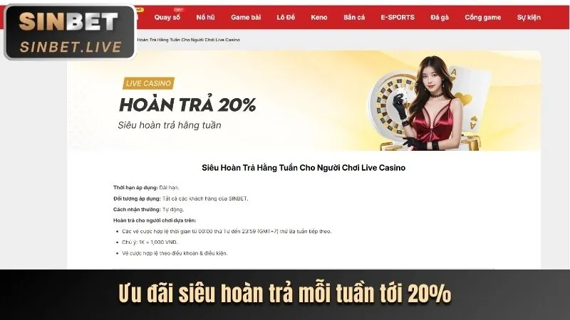 Biểu tượng hoàn trả tiền mặt độc quyền cho VIP